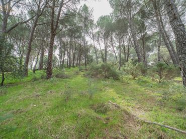 Terreno residenziale in vendita a San Martín de Valdeiglesias