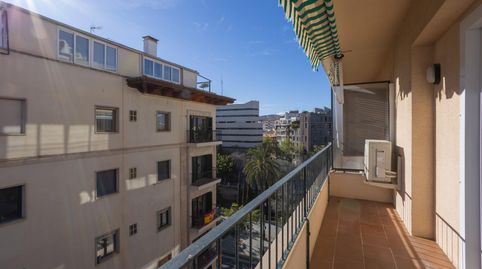 Photo 3 of Flat for rent in Carrer Jaume Santacilia, Jaume III, Palma de Mallorca