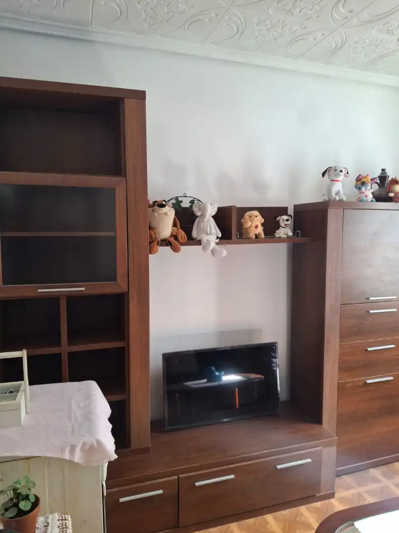 Appartamento in vendita a Gipuzkoa Kalea, imagen 19