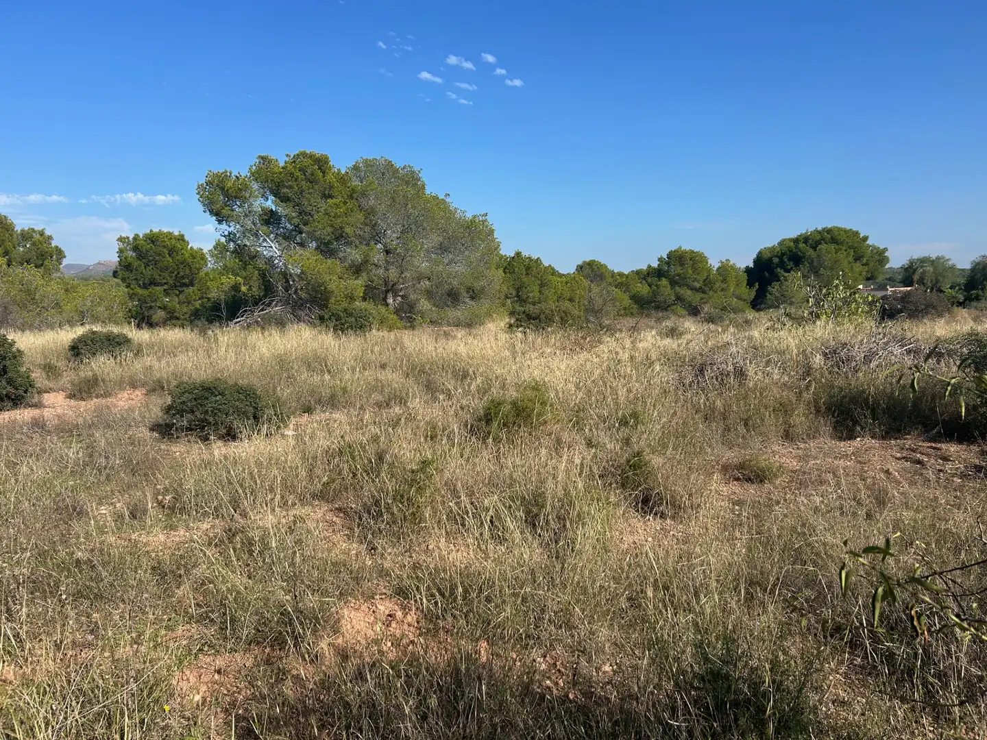 Terreno rustico in vendita a Plaça Poligono N-05.R, imagen 2