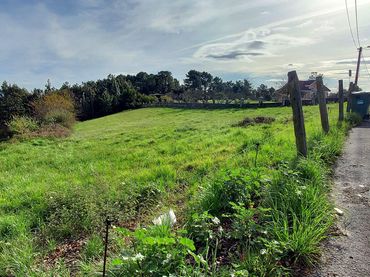 Residential land for sale in Pillarno