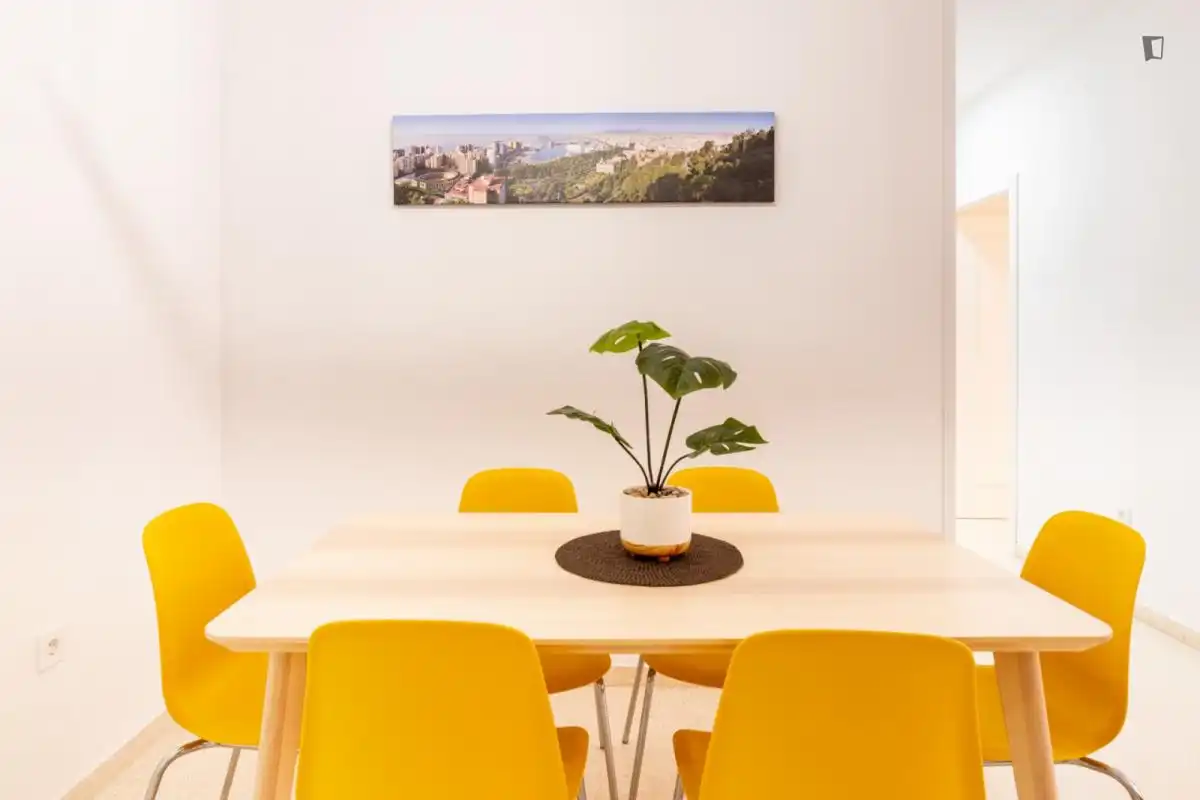 Apartamento de alquiler en La Goleta - San Felipe Neri
