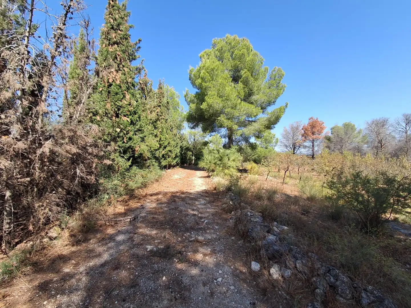 Houses for sale in Xerta