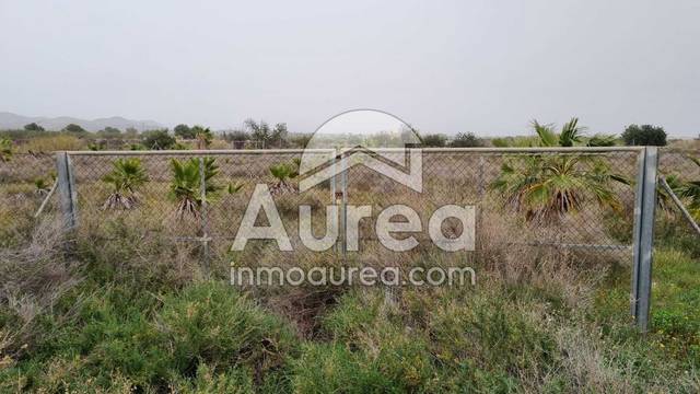 Terreno en Venta en Cañada del Fenollar