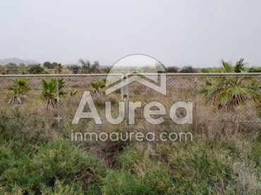 Terreny rústic en venda a Partidas de Alicante