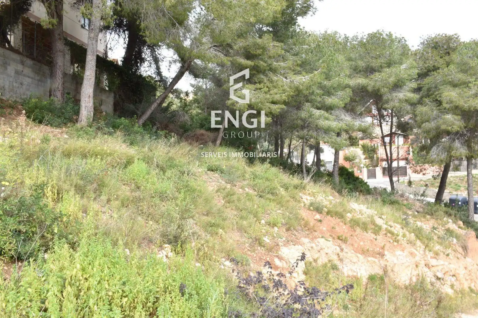 Rural land for sale in GLADIOL, imagen 3