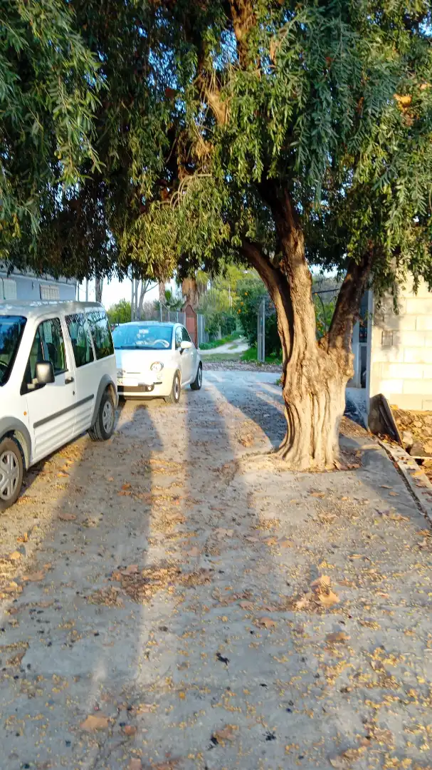 Land for sale in Era Alta