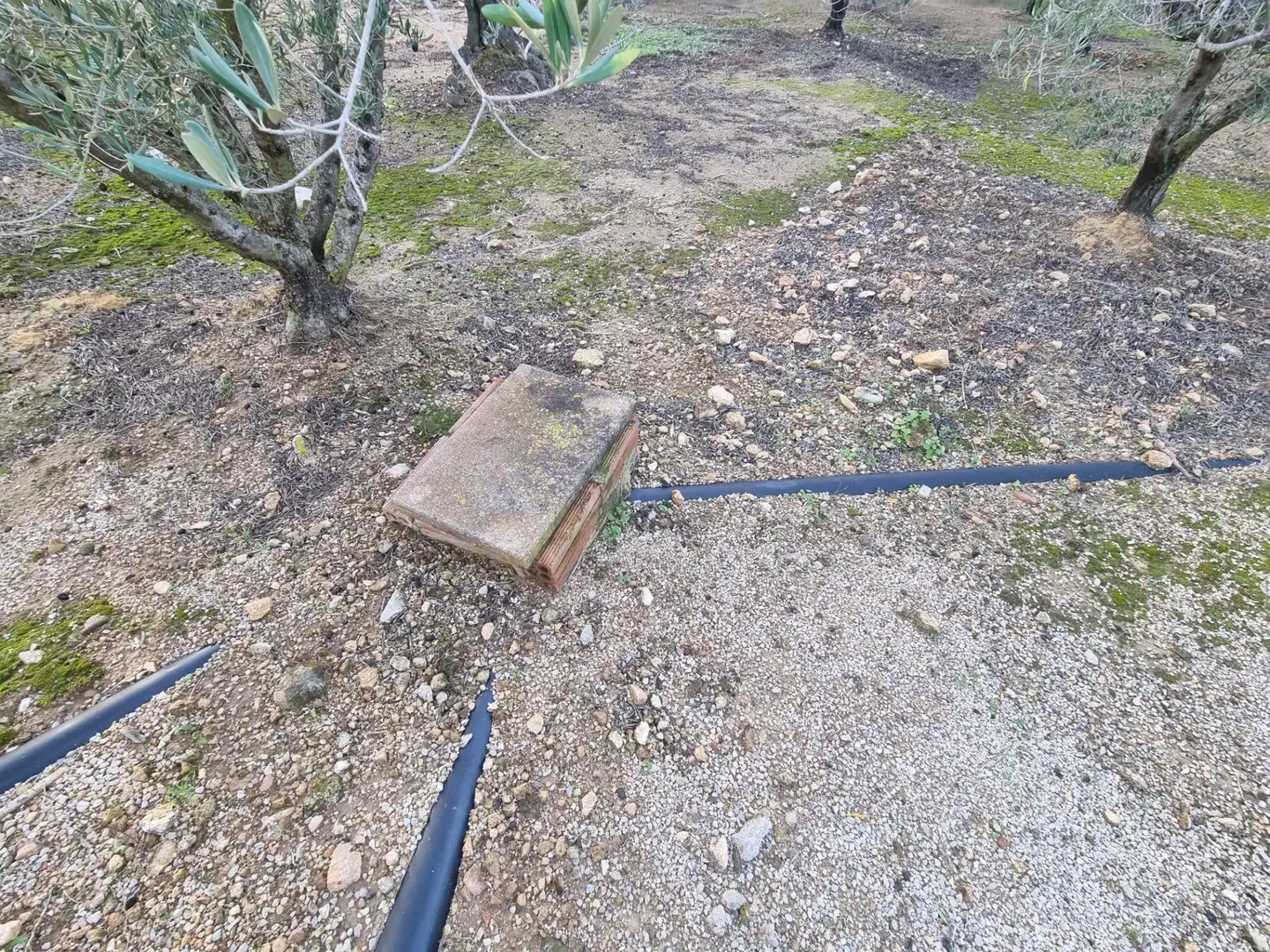 Casa rústica en venta en El Perelló, imagen 18