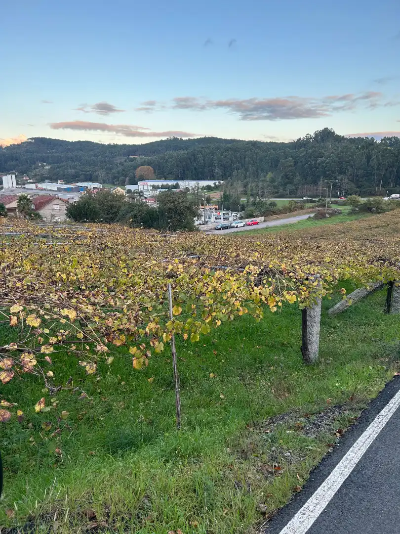 Terreni e lotti in vendita a Lugar Vilanoviña-Paradela, imagen 11