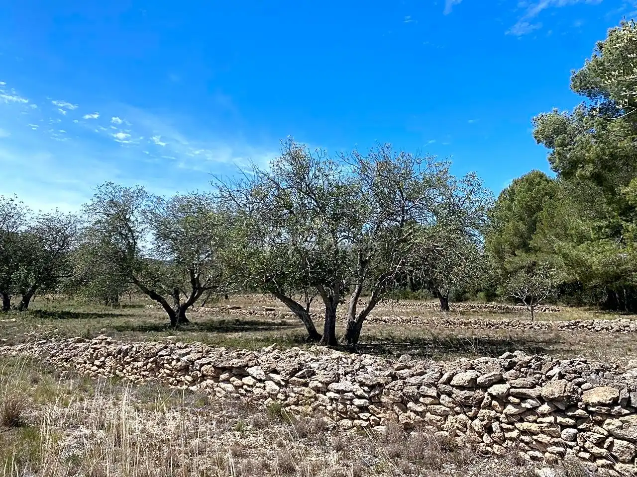 Terreno rustico in vendita a Mas de Baralluga, imagen 4