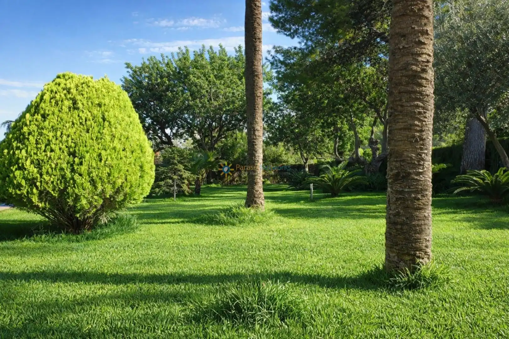 Jardí de Casa o xalet en venda en Gandia amb Aire condicionat, Calefacció i Jardí privat
