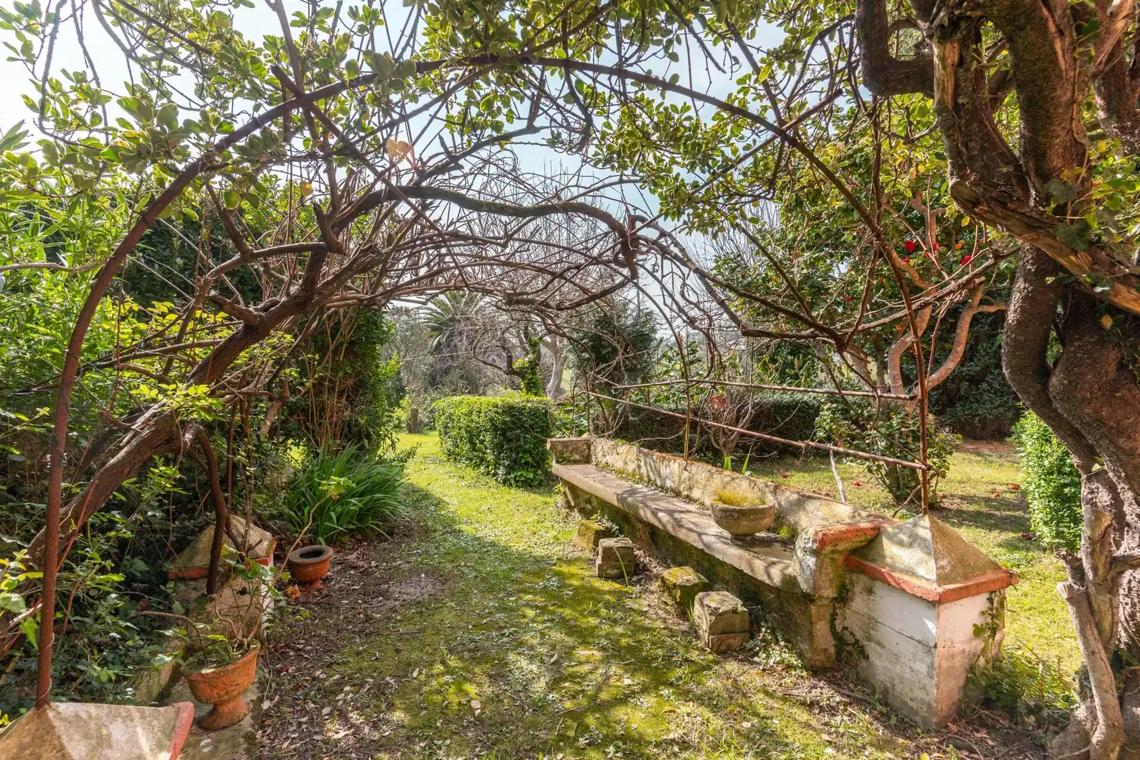 Jardín de Casa o chalet en venta en Tapia de Casariego con Jardín privado, Amueblado y Balcón