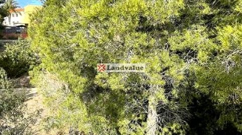 Foto 2 de Residencial en venta en Carrer de la República Argentina, Costa del Zèfir, Mont-roig del Camp