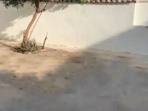 Casa con giardino in vendita a calle san Bartolome 8, imagen 6