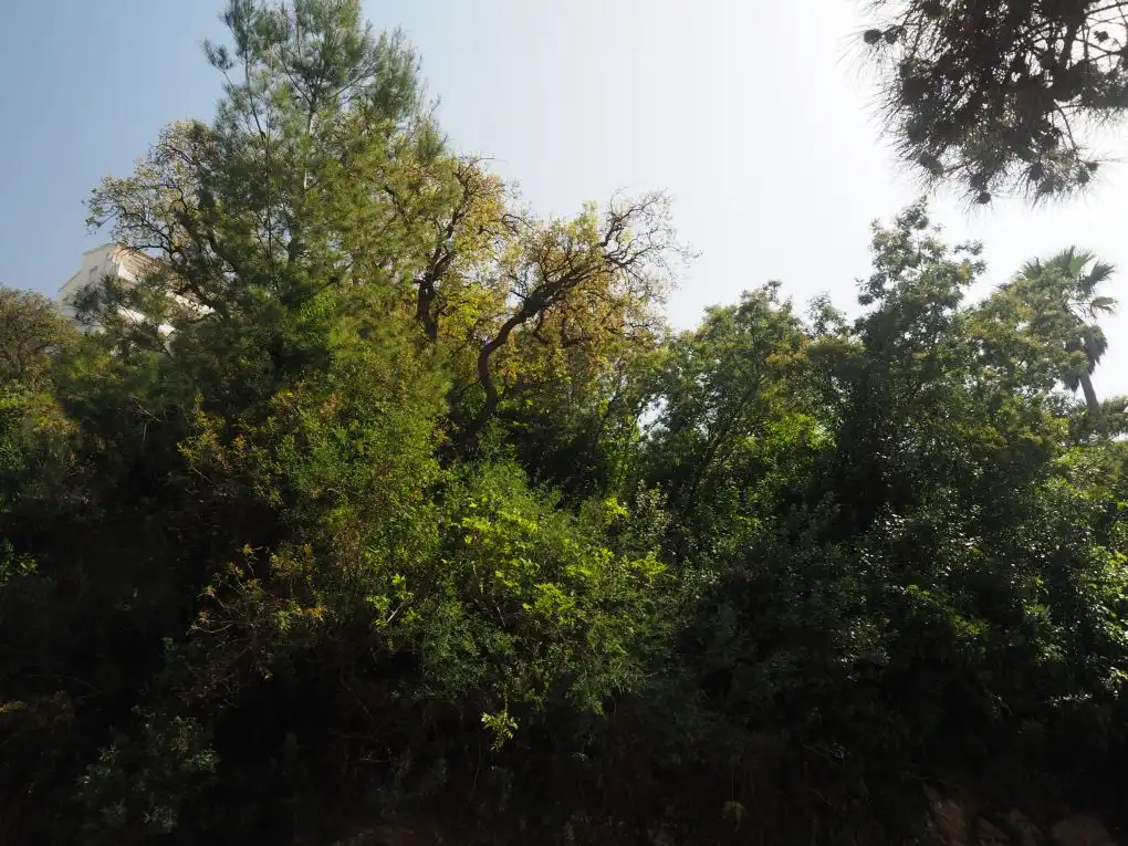 Terreny residencial en venda a Carrer de Marià Aguiló, imagen 4