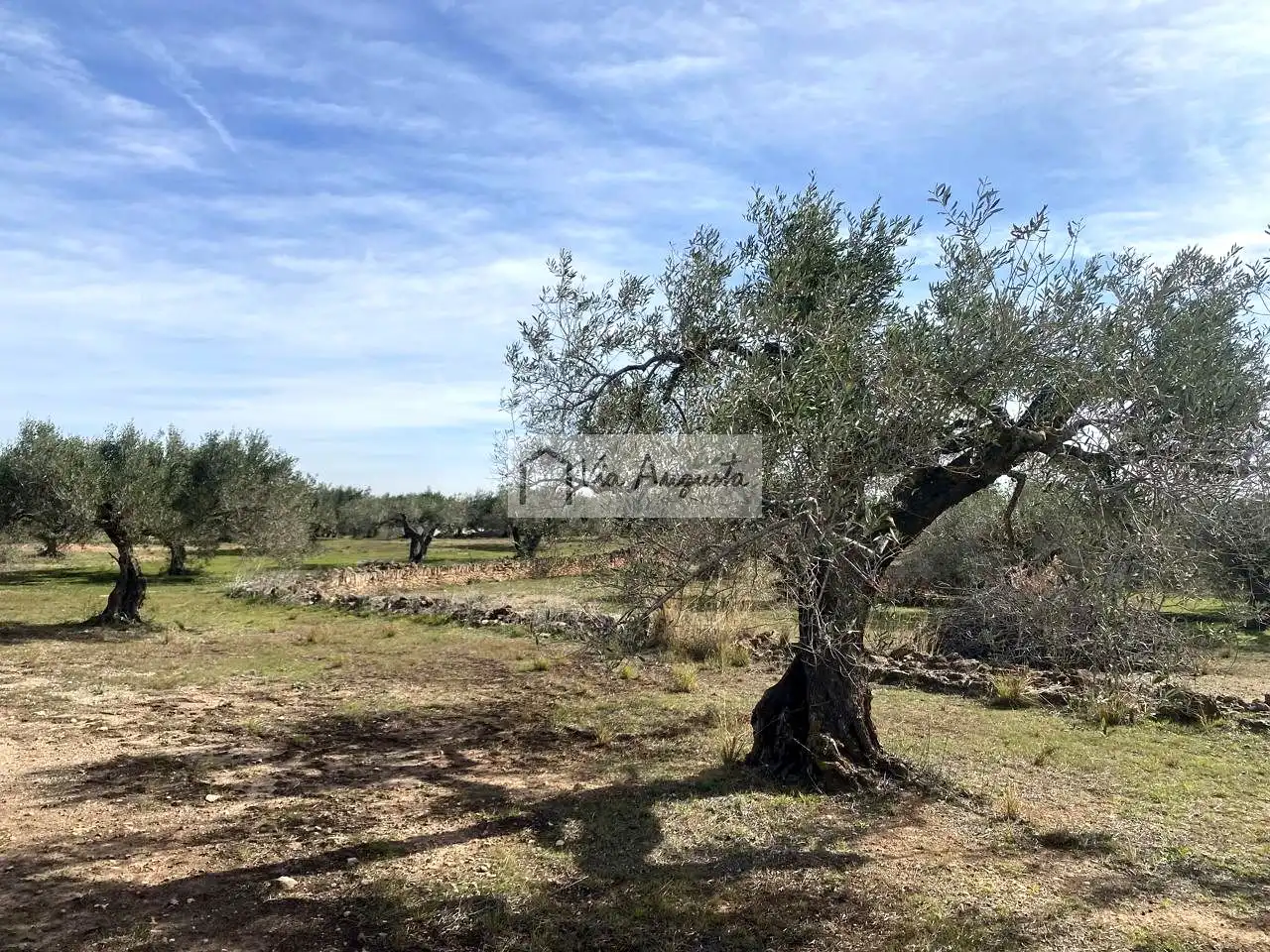 Terreno rustico in vendita a Planas, imagen 9