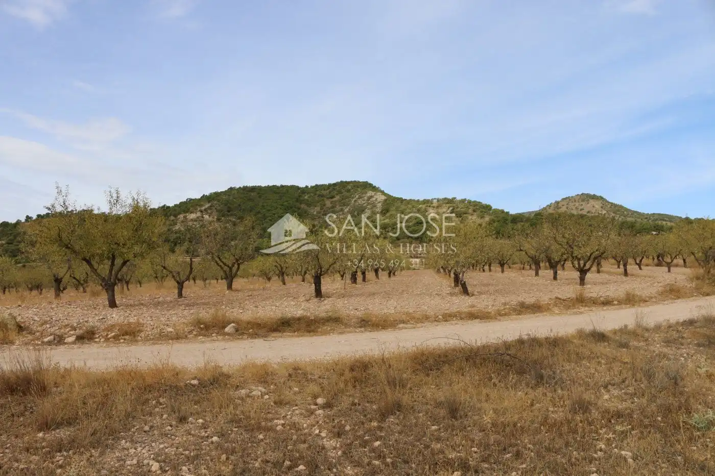 Rustikales Grundstück zum Verkauf in Jumilla, imagen 8