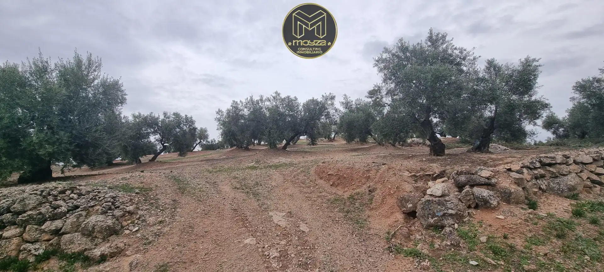 Lands and plots for sale in Torredonjimeno, imagen 6