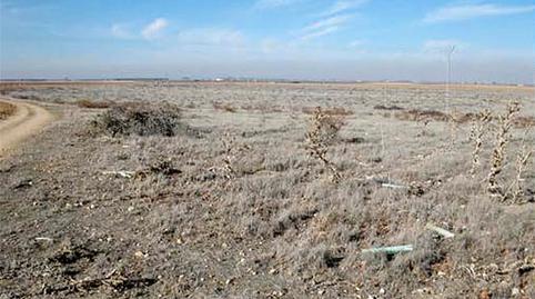 Foto 4 von Residential zum Verkauf in Bernardo (el), -1, Socuéllamos, Ciudad Real