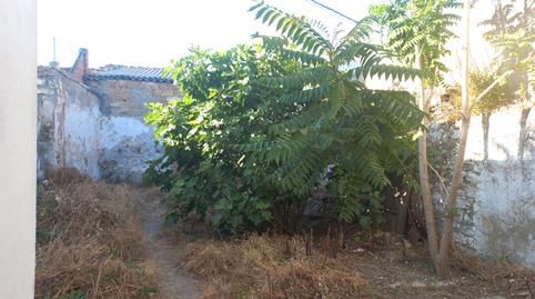 Foto 3 de Casa o xalet en venda a Calle Blas Infante, Sabiote, Jaén
