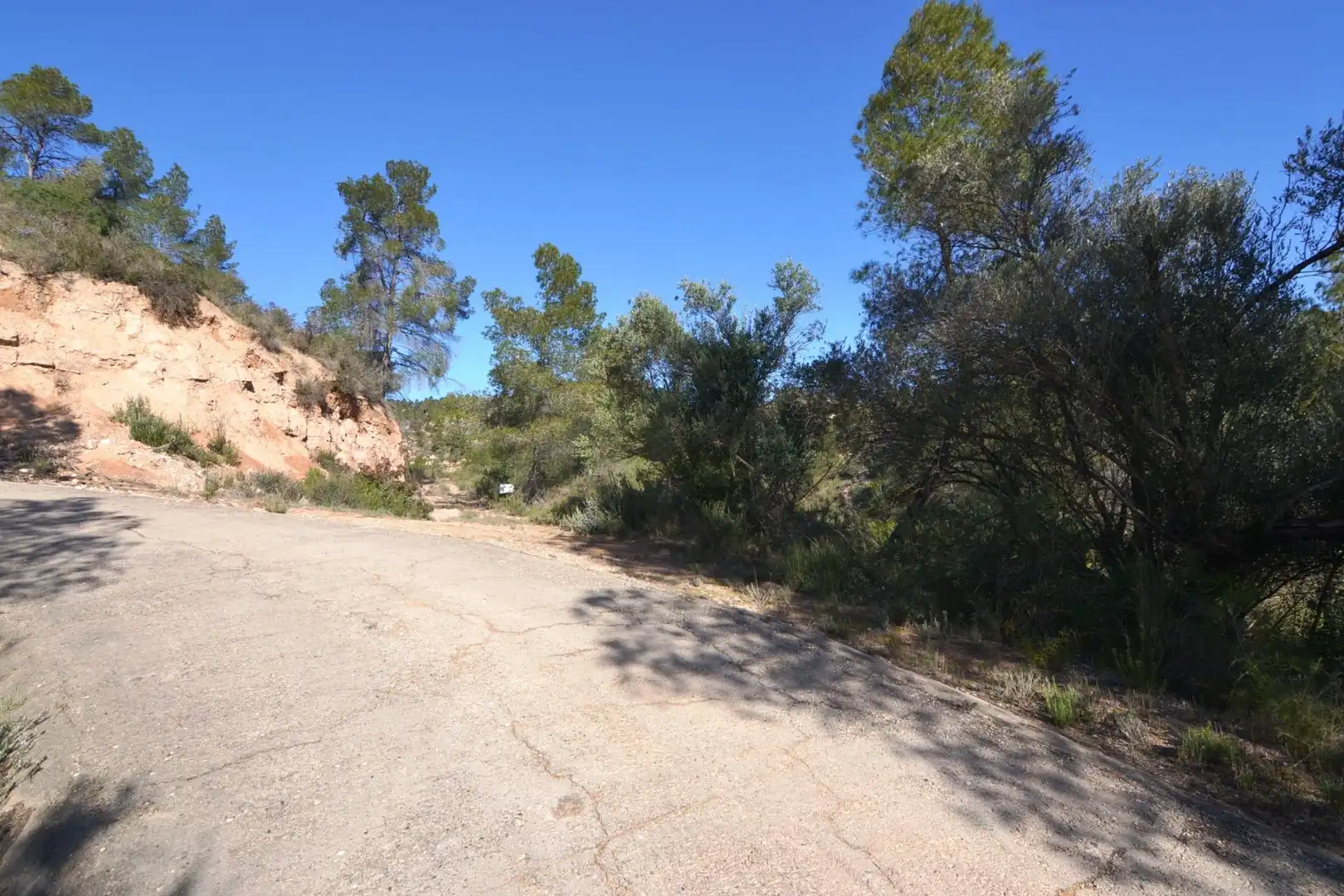 Rural land for sale in Ascó, imagen 8