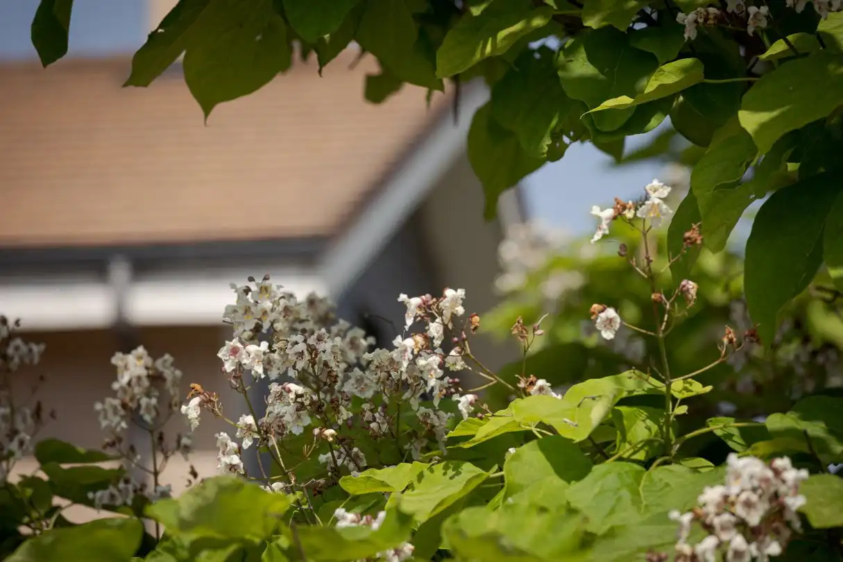 Garten von Einfamilien-Reihenhaus zum Verkauf in Iza / Itza mit Heizung, Privatgarten und Terrasse