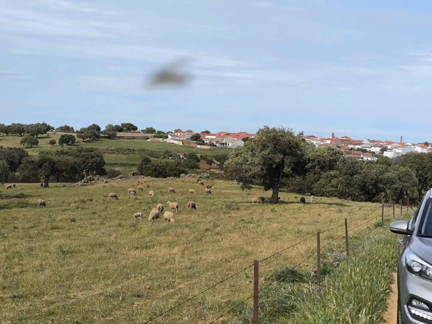 Rural land for sale in Fuente Obejuna, imagen 2