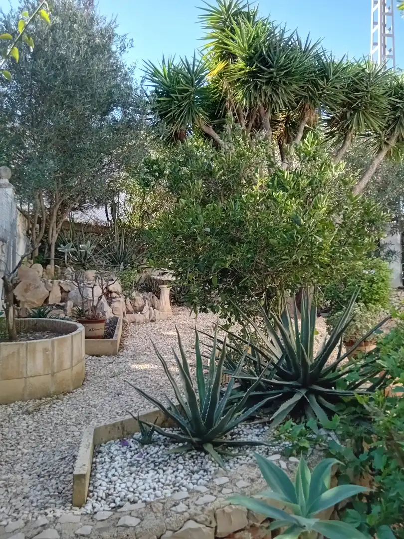 Jardí de Casa o xalet en venda en Dénia amb Aire condicionat, Calefacció i Jardí privat