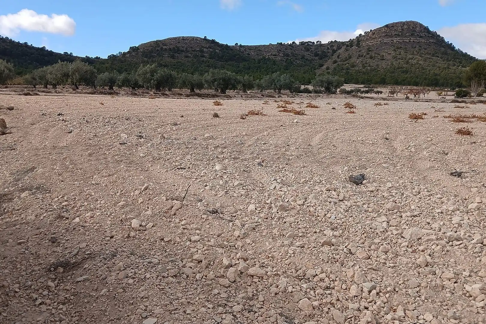 Residencial en venda en Yecla