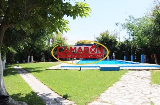 Jardín de Planta baja en venta en  Sevilla Capital con Balcón y Piscina comunitaria
