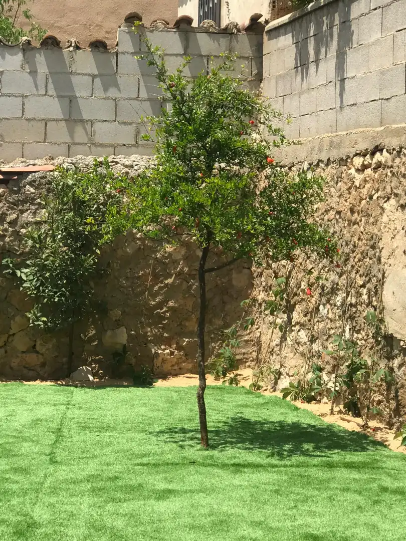Garden of Country homes for sale in Arcos de Jalón  with Private garden, Parquet flooring and Storage room