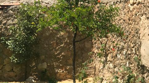 Foto 3 de Finca rústica en venda a Plaza Mayor, 1, Arcos de Jalón, Soria