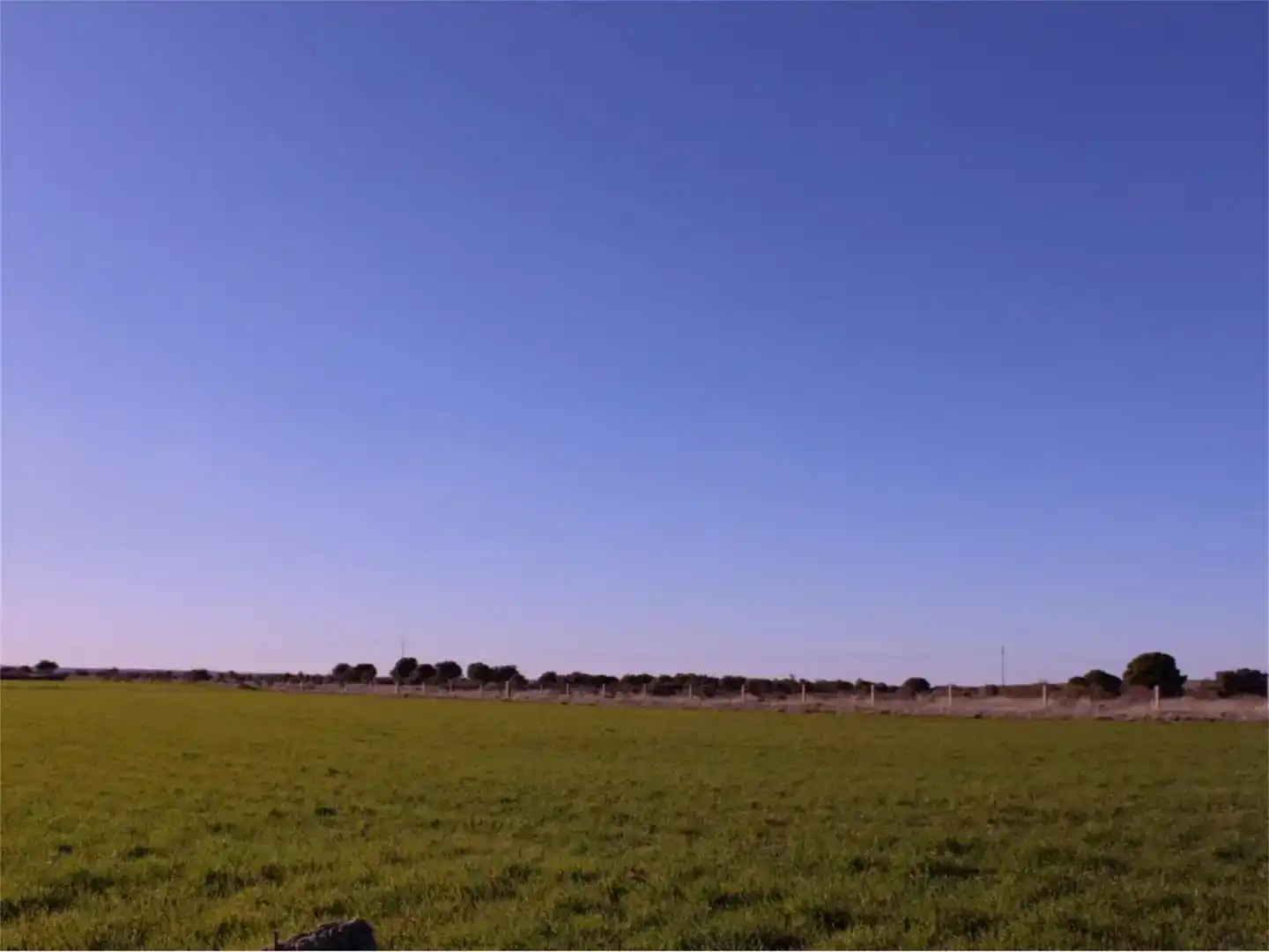 Land for sale in Carpio de Azaba