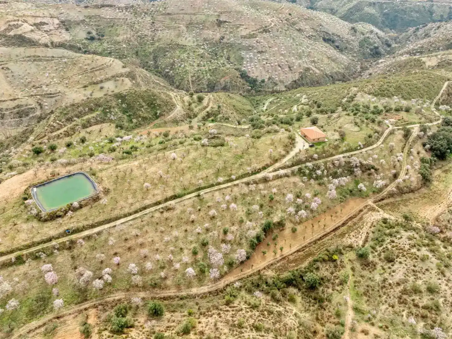 Finca rústica en venda en Cádiar
