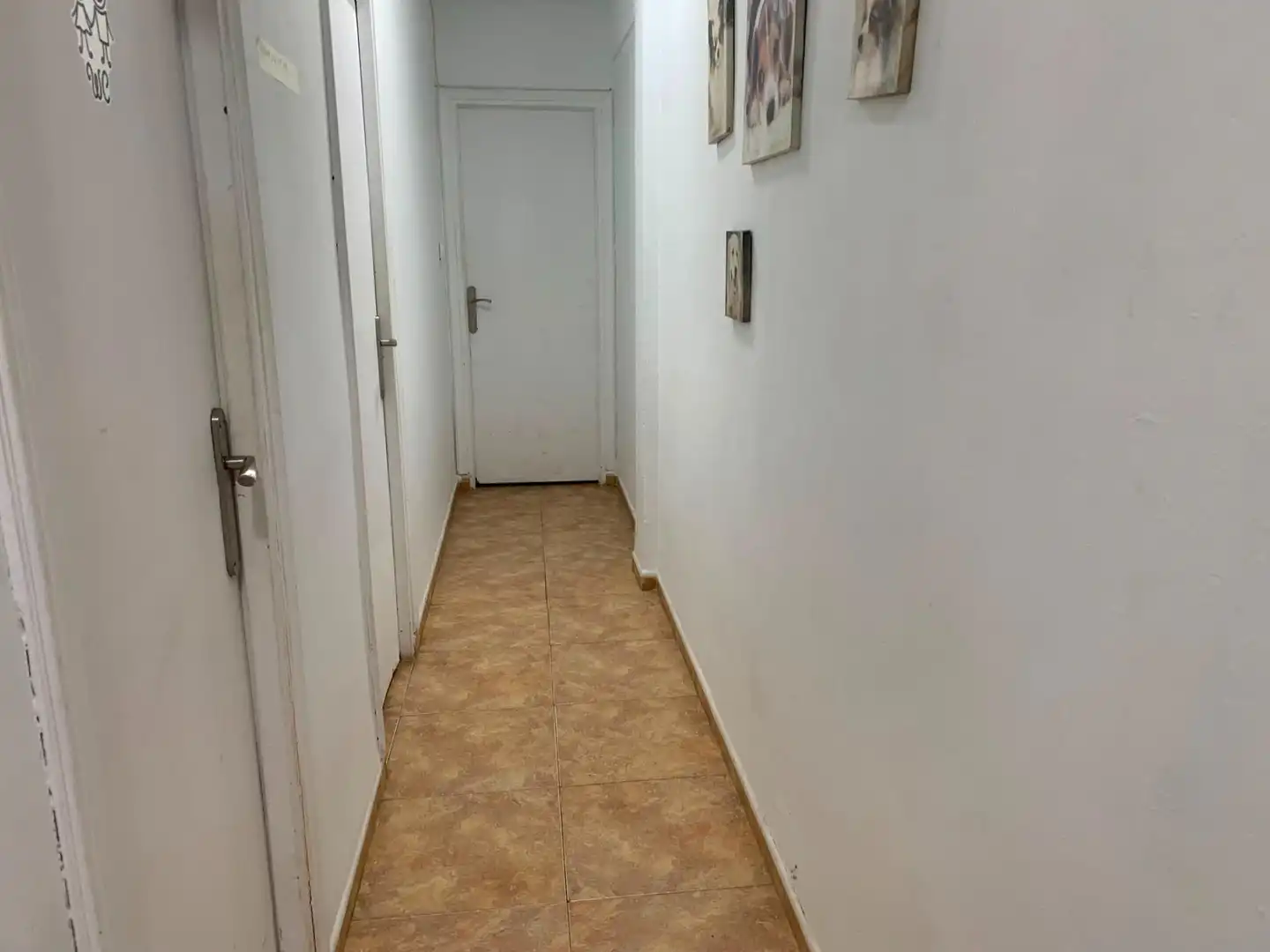 Wohnung mit Terrasse zur Miete in Centro, imagen 23