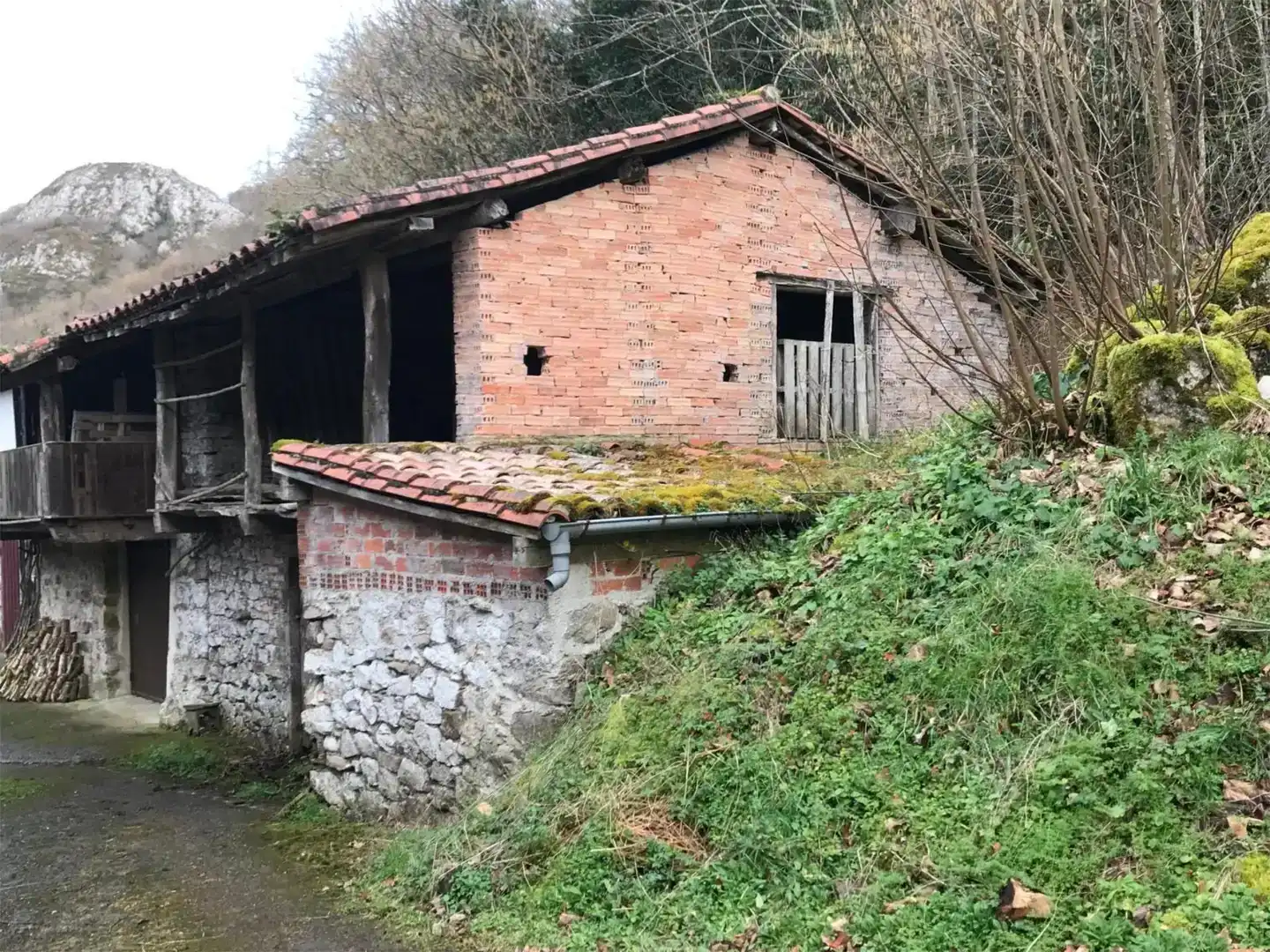 Vista exterior de Finca rústica en venda en Piloña