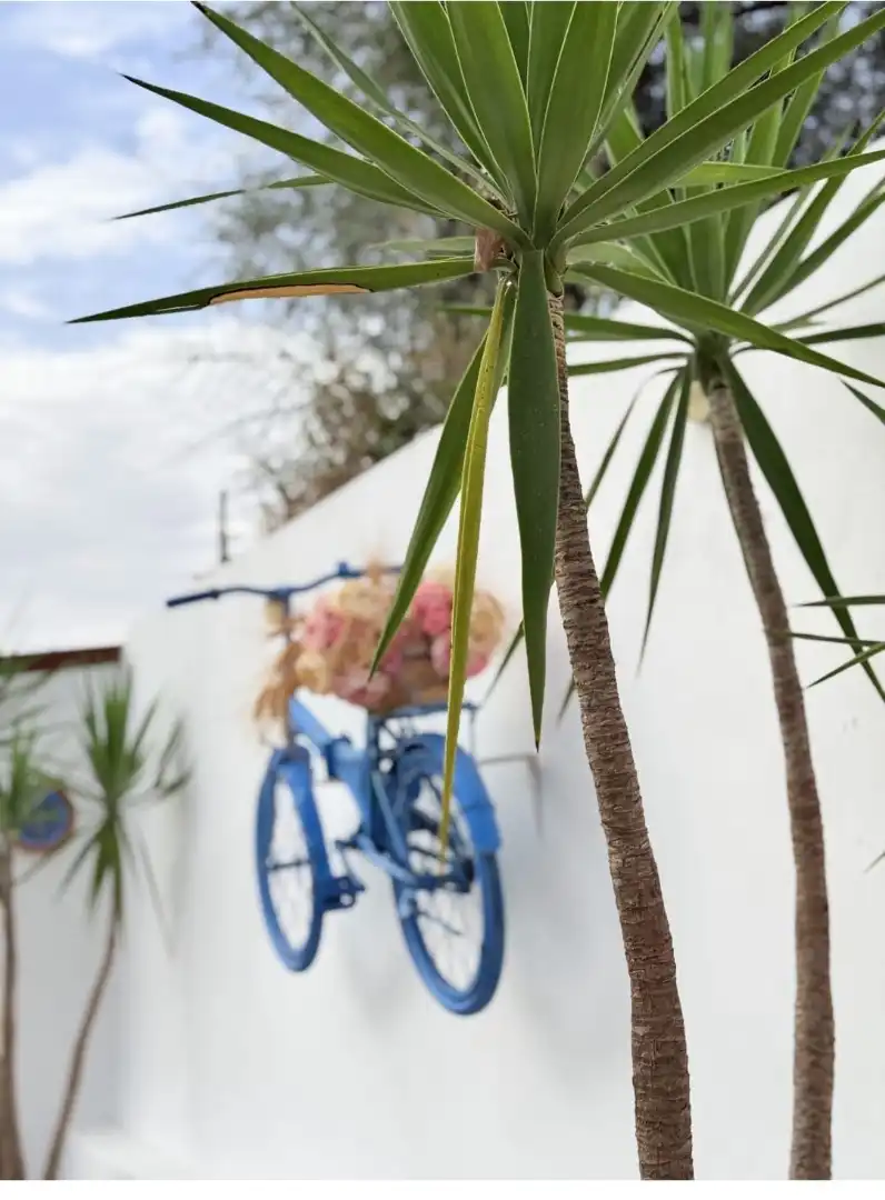 Vista exterior de Casa o chalet en venta en Almodóvar del Río con Aire acondicionado, Calefacción y Jardín privado