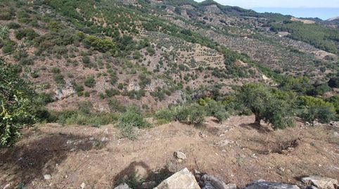 Foto 2 de Residencial en venta en Yunquera, Málaga