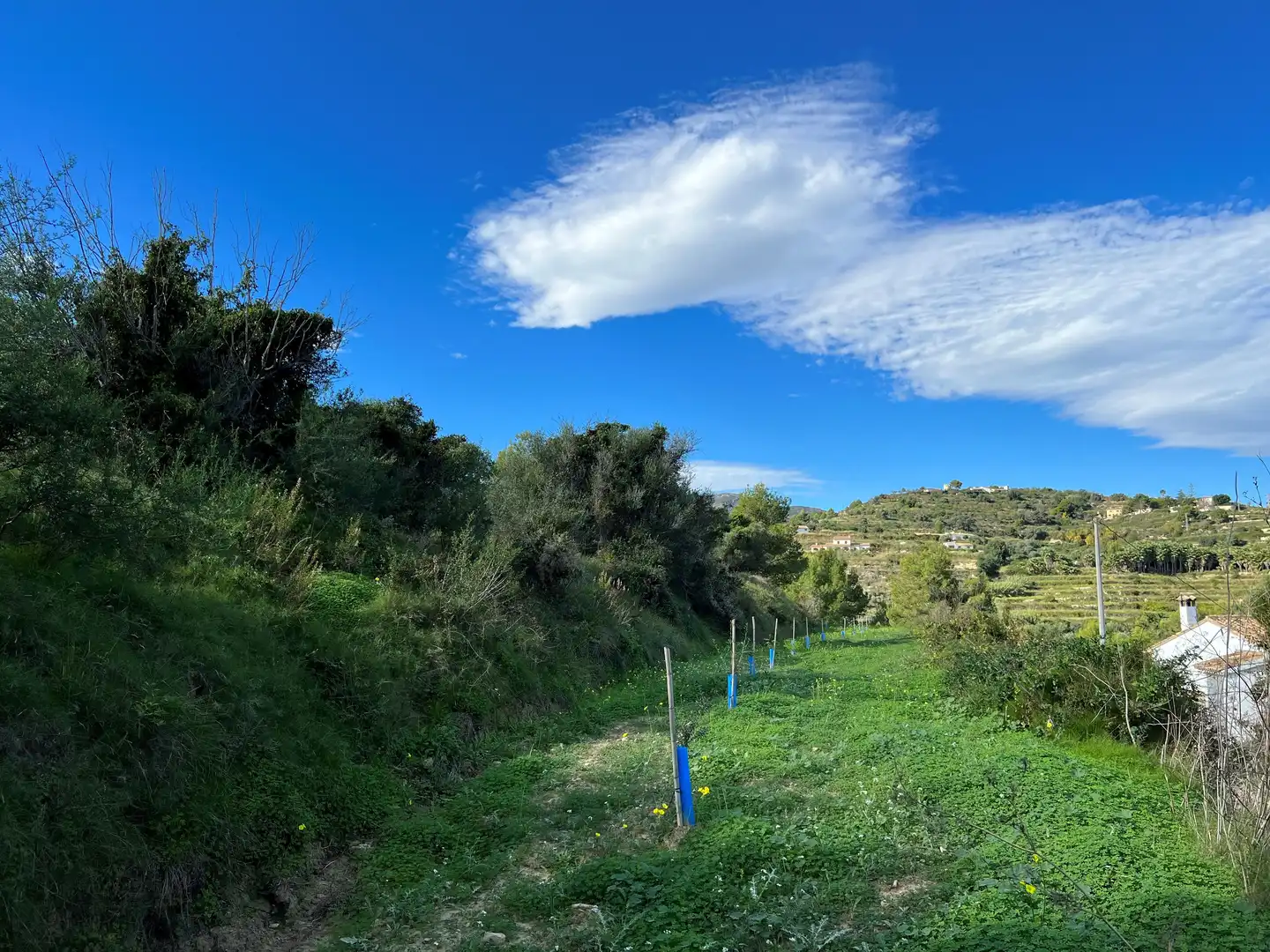 Terreno rústico en venta en Benissa pueblo