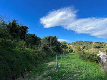 Terreny rústic en venda a Benissa pueblo