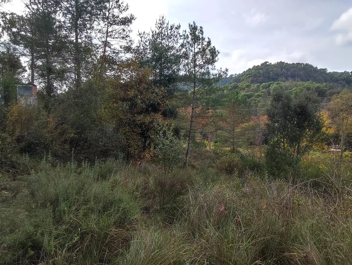 Terrain rustique à vendre à Monistrol de Calders, imagen 24