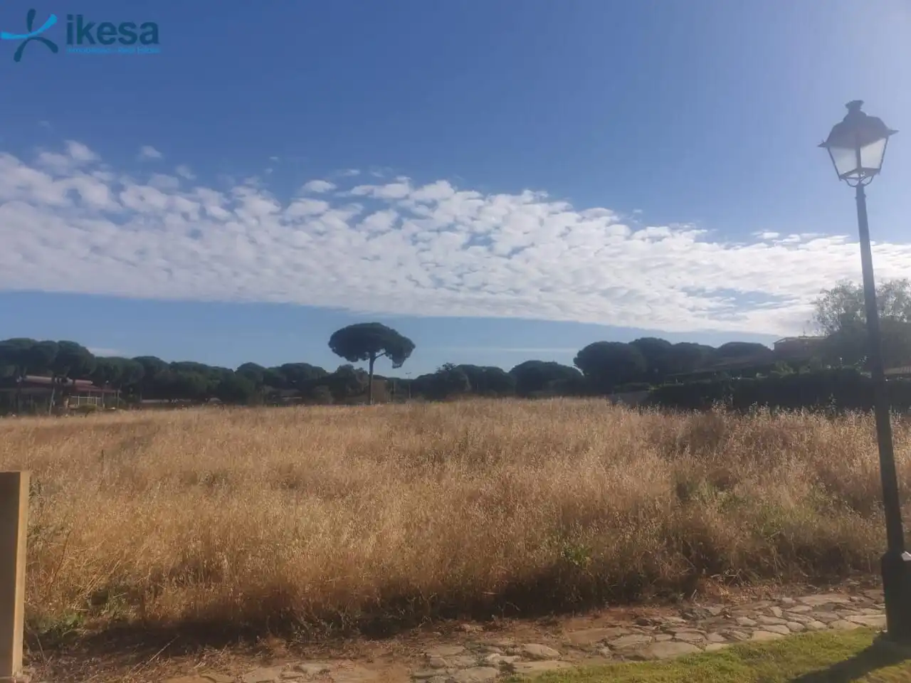 Terreni e lotti in vendita a Bollullos de la Mitación, imagen 10