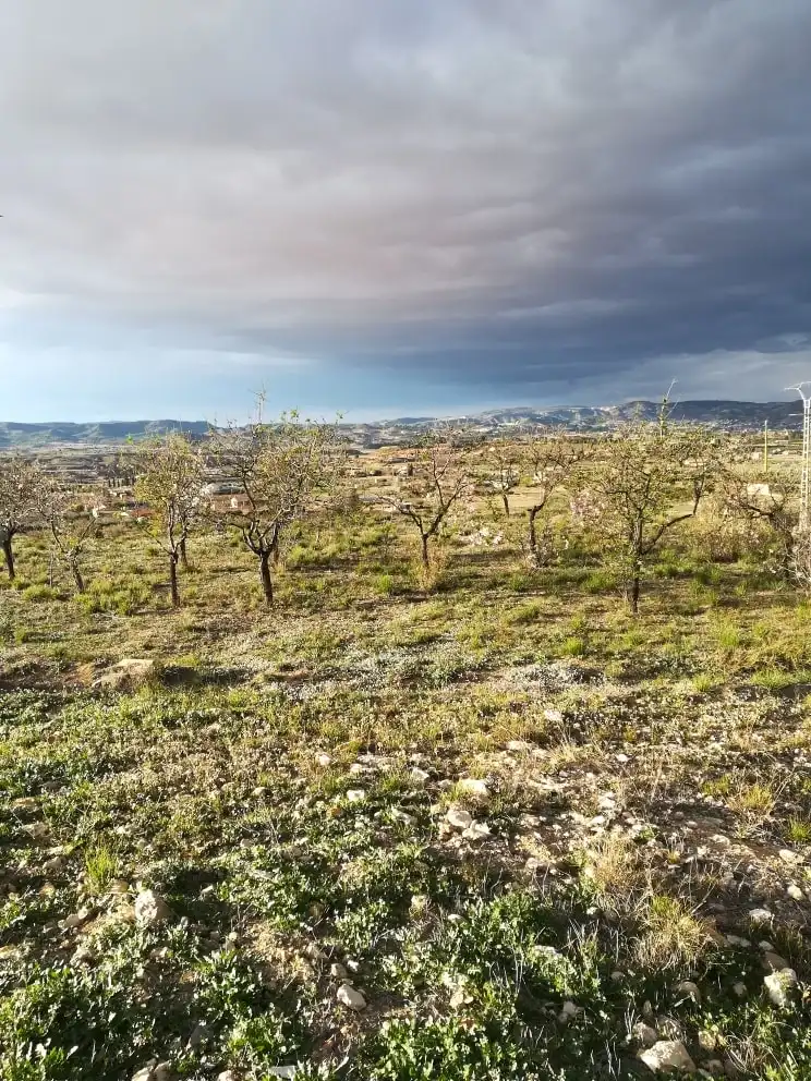 Grundstücke und Bauplätze zum Verkauf in Avenida Río Pliego, imagen 3