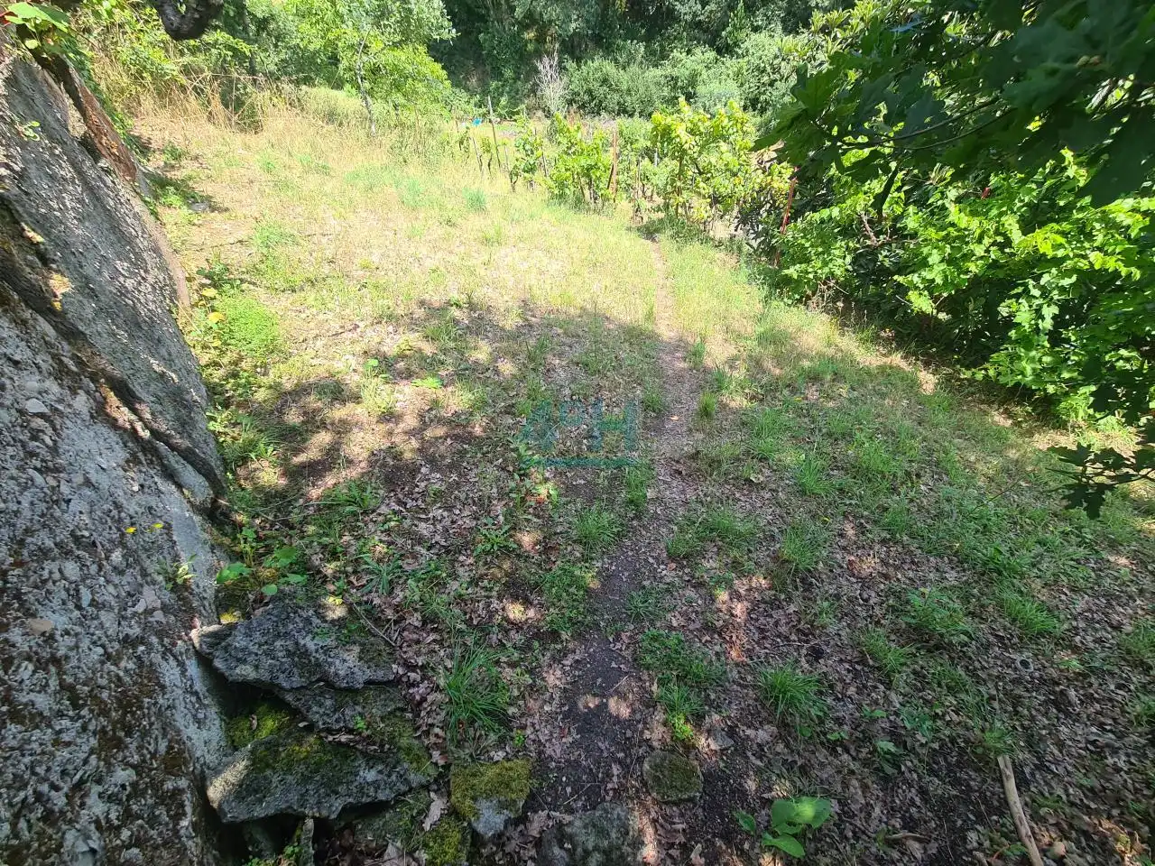 Terreni e lotti in vendita a Barbadás, imagen 10