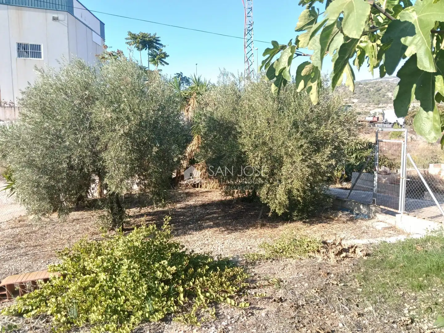 Casa o chalet en venta en La Romana, Alicante
