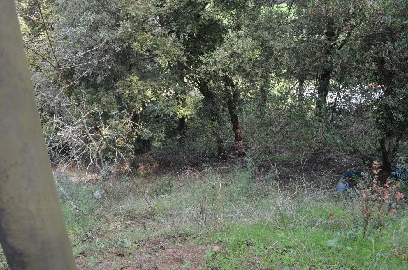 Wohnbaugrundstück zum Verkauf in Sant Celoni