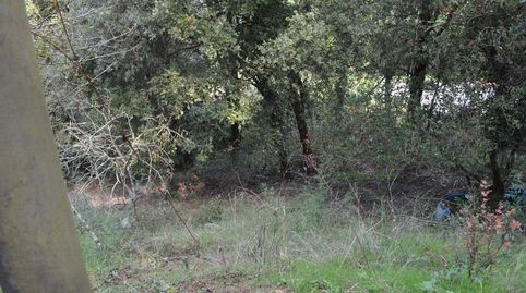 Terreno zona tranquila