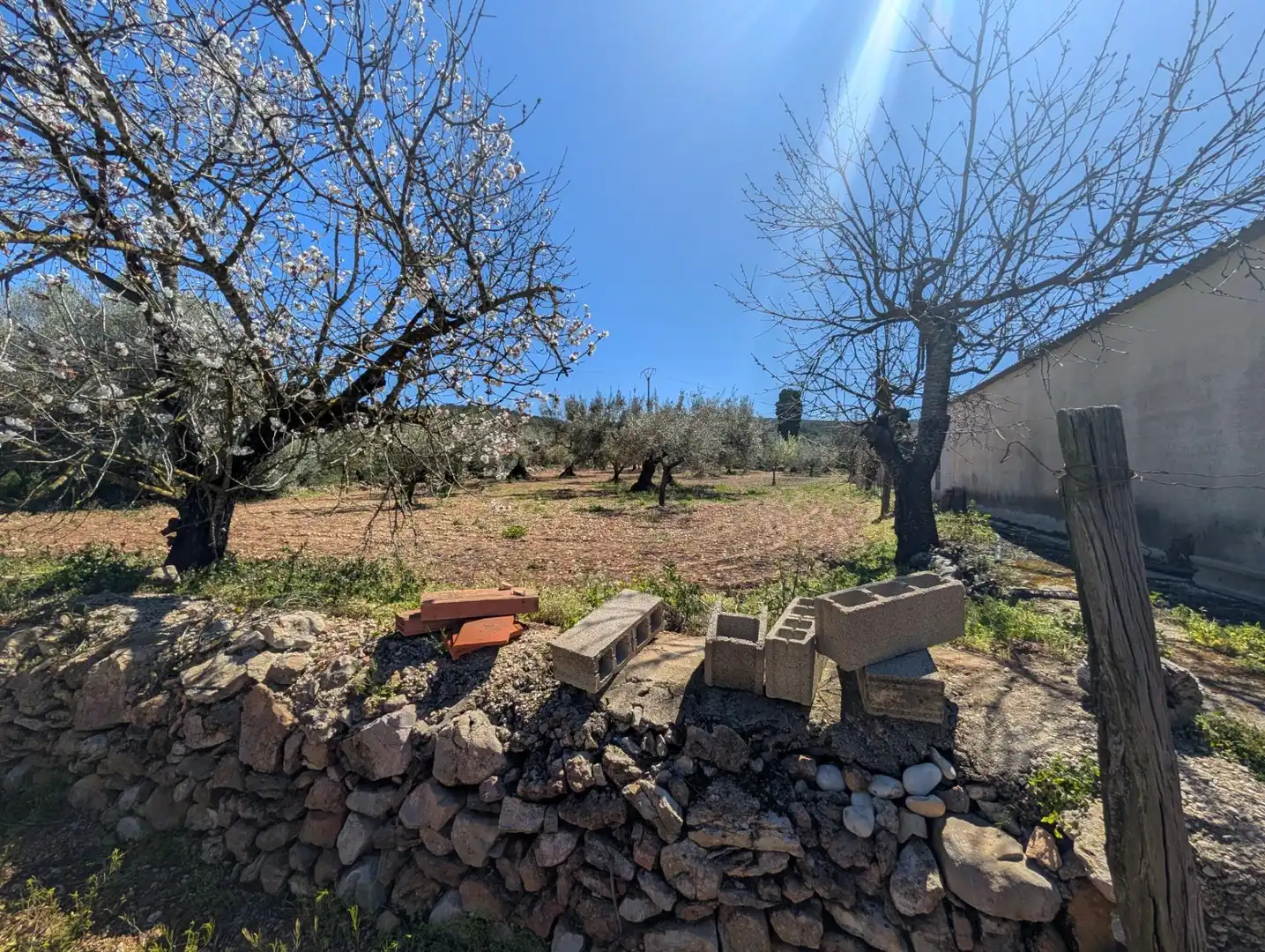 Grundstücke zum Verkauf in Ulldecona