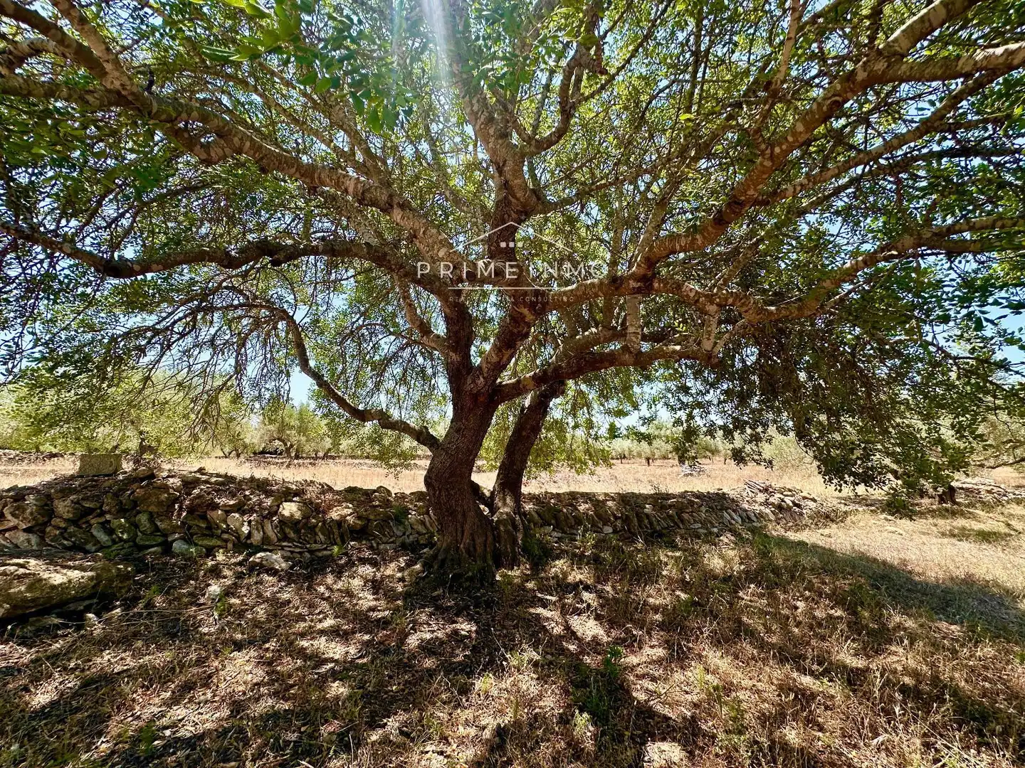 Finca rústica en venta en L'Ametlla de Mar  con Trastero