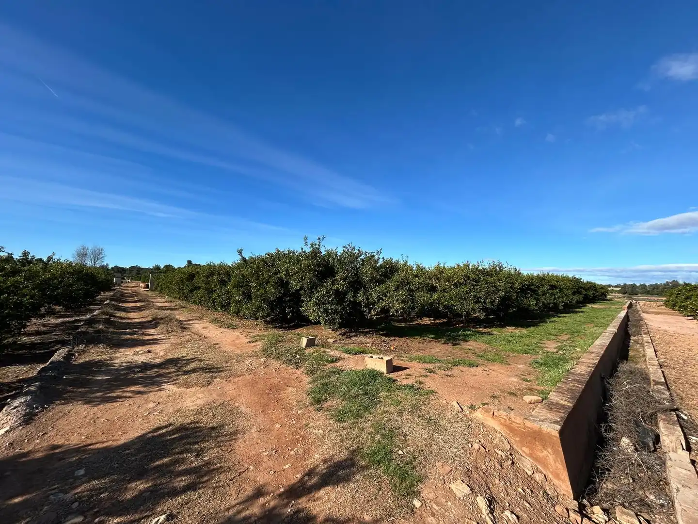 Rural land for sale in La Conarda - Montesano, imagen 3